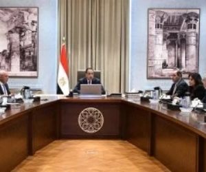 رئيس الوزراء يستعرض فرص توطين صناعة السيارات وزيادة تنافسية المناطق الحرة