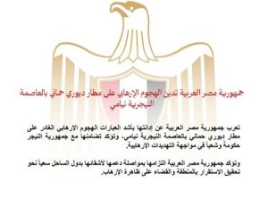  مصر تدين الهجوم الإرهابي على مطار ديوري حماني بالعاصمة النيجرية نيامي