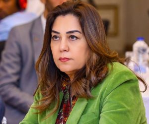 وزيرة التنمية المحلية تبحث مع بعثة البنك الدولي التعاون في مجالات التحول الأخضر والاقتصاد الأزرق