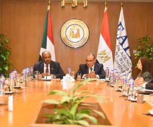 وزير الخارجية ونظيره السوداني يشاركان في احتفالية تكريم الفريق الطبي المصري المشارك في القافلة الطبية إلى السودان