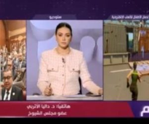 نائبة بالشيوخ: تحركات تشريعية لحماية الأطفال من مخاطر الإدمان الرقمي