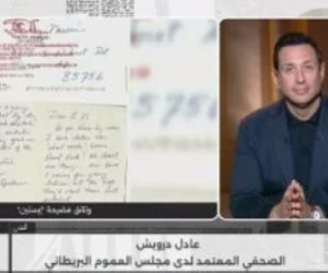 صحفى لدى مجلس العموم البريطاني يكشف تداعيات وثائق إبستين على الأسرة المالكة