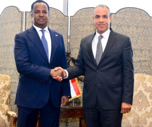 مشاورات مصرية - صومالية لدعم الشراكة الاستراتجية بين البلدين