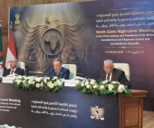 رئيس المحكمة الدستورية: مصر حريصة على نقل خبراتها الدستورية للأشقاء الأفارقة