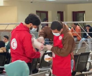 إطلاق قافلة زاد العزة الـ133 إلى غزة بـ7500 طن مساعدات واستقبال المصابين