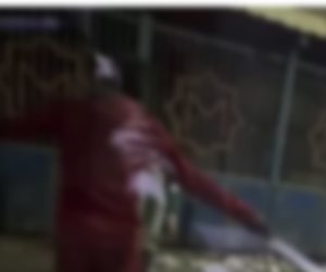 بعد ظهوره في مقطع فيديو.. ضبط بلطجي محطة المترو بالجيزة