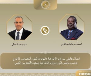اتصال هاتفي بين وزير الخارجية ونظيره الكيني