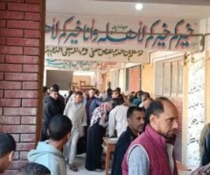 الهيئة الوطنية للانتخابات تستأنف على حكم بطلان انتخابات دائرة منيا القمح