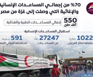 «زاد العزة 136» تعبر إلى غزة بـ7800 طن مساعدات.. وإجمالي الدعم المصري يتجاوز 800 ألف طن