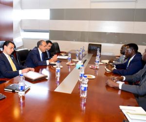 وزير الخارجية يؤكد لنظيره الجنوب سودانى أهمية التعاون بين دول حوض النيل ورفض الإجراءات الأحادية