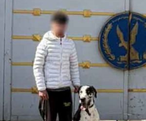 بسبب معاكسة شقيقته.. القبض على المتهم بالتشاجر مع آخر بكلب في القاهرة