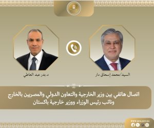 وزيرا الخارجية المصري والباكستاني يبحثان المستجدات في غزة والتطورات الإقليمية