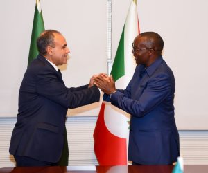 وزير الخارجية يؤكد لنظيره البوروندى أهمية التمسك بروح التوافق بمبادرة حوض النيل ورفض الإجراءات الأحادية