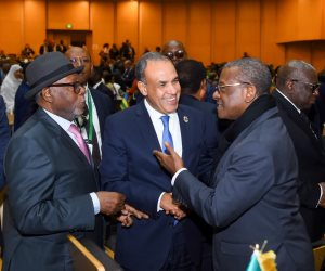 وزير الخارجية يلتقى رئيس جمهورية أفريقيا الوسطى ورئيس وزراء الكاميرون