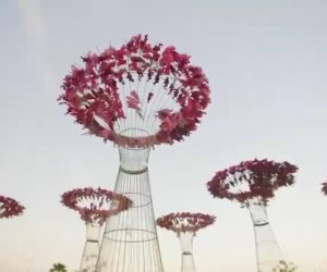 «الجبهة الوطنية» يبدأ توزيع كراتين رمضان على الأسر الأولى بالرعاية في جنوب سيناء