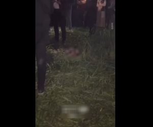 ضبط مرتكبي واقعة قتل طفل وإصابة أخر بأرض زراعية بأسيوط