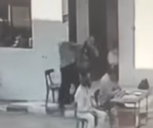 تحقيق عاجل بالغربية بعد تعدي موظفة على زميلها بالضرب أمام العاملين