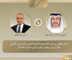 وزير الخارجية يبحث مستجدات التطورات الإقليمية مع نظيره الإماراتي
