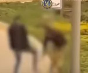 دفاع فرد الأمن بواقعة التجمع الخامس يطالب بتعويض 15 مليون جنيه