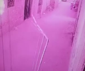 خلاف على شراء منزل يشعل أزمة في طوخ.. ضبط فرد شرطة وصاحب معاش بعد تداول فيديوهات مشاجرة