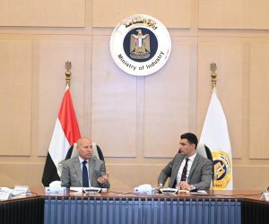 وزير الصناعة: خطة تطوير شاملة لمنطقة شق الثعبان وتعزيز صناعة الرخام والجرانيت