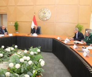 وزير الكهرباء: الشبكة الموحدة قوية وقادرة ووحدات توليد الكهرباء تعمل بالوقود المكافئ