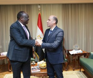 وزير العمل لنظيره الجنوب سوداني: مستعدون لتقديم الخبرات المصرية في التدريب المهنى والسلامة والصحة المهنية