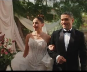 مسلسل اتنين غيرنا الحلقة الأخيرة.. زواج آسر ياسين ودينا الشربينى
