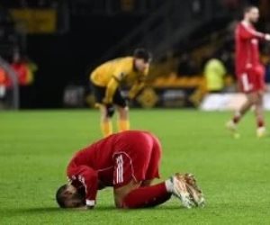 الدوري الإنجليزي .. محمد صلاح يسجل في خسارة ليفربول أمام وولفرهامبتون.. فيديو