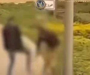 تعرف علي الاتهامات الموجهة للمتهم بالاعتداء على فرد الأمن بالتجمع قبل الحكم عليه في 11 مارس