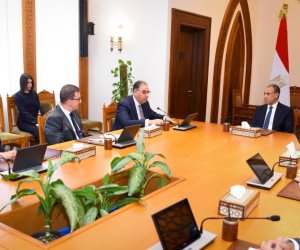 وزير الخارجية يوجه بتكثيف متابعة أوضاع المصريين بالخارج وتيسير الخدمات القنصلية