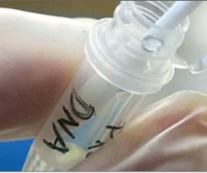 بعد 11 سنة.. تطابق عينة DNA يكشف هوية الطفل فارس المخطوف من مستشفى الشاطبى