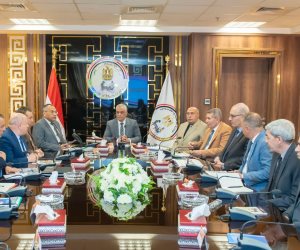 وزير الدولة للإنتاج الحربي: نستغل فائض الطاقات الإنتاجية لخدمة المشروعات المدنية