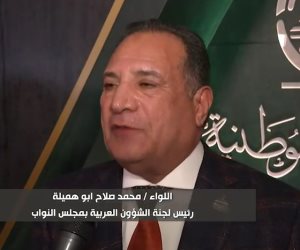 أبوهميلة: لدينا احتياطي يكفي.. ومصر قادرة على تحويل تداعيات الحرب إلى مكاسب (فيديو)