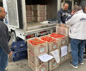  21.5 جنيه للكيلو.. القابضة للصناعات الغذائية تدفع  بسيارات متنقلة لطرح الطماطم بأسعار مخفضة