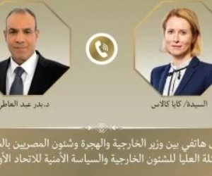 وزير الخارجية يبحث مع ممثلة أوروبا للشئون الخارجية سبل خفض التصعيد بالمنطقة