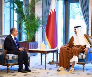 بتوجيهات من الرئيس السيسى.. وزير الخارجية ينقل رسالة دعم كامل وتضامن مصر التام إلى أمير قطر 