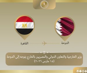 وزير الخارجية يتوجه للدوحة فى إطار جولة خليجية لبحث التطورات الإقليمية