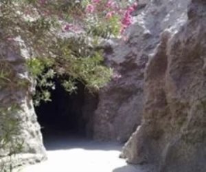 الزراعة : حدائق الحيوان والأسماك جاهزة لاستقبال الزائرين خلال عيد الفطر