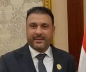 عمر الغنيمي: القاهرة ثابتة في موقعها للدفاع ودعم أشقائها