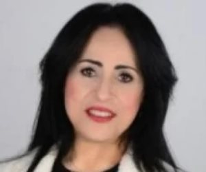 ميرال الهريدى: أمن الخليج جزء من الأمن القومي العربي ومصر تساند استقراره