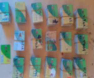 ضبط مالك مخبز لقيامه بتجميع بطاقات التموين الذكية بقصد الإستيلاء على قيمة الدعم بكفر الشيخ