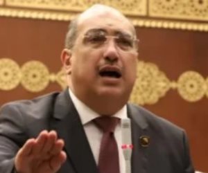 الشعب الجمهوري: تحركات الرئيس السيسي الإقليمية تؤكد أن أمن الخليج خط أحمر