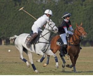 فريق وزارة الداخلية يفوز بالمركز الأول ببطولة الجمهورية لرياضة البولو للعام الثانى على التوالى