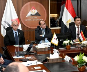 وزير المالية: حوافز استثمارية وضريبية وجمركية لزيادة المكون المحلي في صناعة السيارات