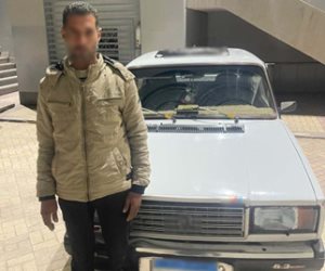 كشف ملابسات فيديو اصطدام قائد سيارة "ملاكى" بسيدة في البحيرة