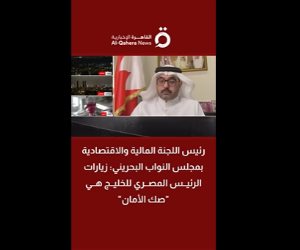 رئيس اللجنة الاقتصادية بالنواب البحريني: زيارات الرئيس السيسى للخليج صك أمان