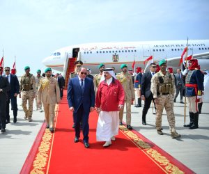 رئيس حزب العربى الناصرى: تحركات الرئيس السيسي بالخليج تؤكد أن معركة الأمن واحدة