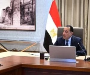 رئيس الوزراء يستعرض مع وزير البترول مستجدات عدد من ملفات عمل الوزارة