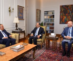 وزير الخارجية يؤكد التزام مصر الراسخ بتعزيز وحماية حقوق الإنسان